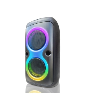 Parlante Kioto TW2650 BP con FM 60W 6